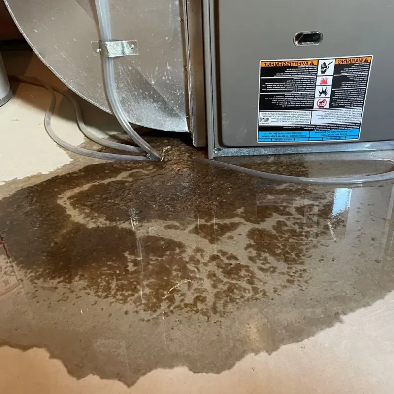 Pipe Burst and Leak Restoration in Sabana Grande, PR
